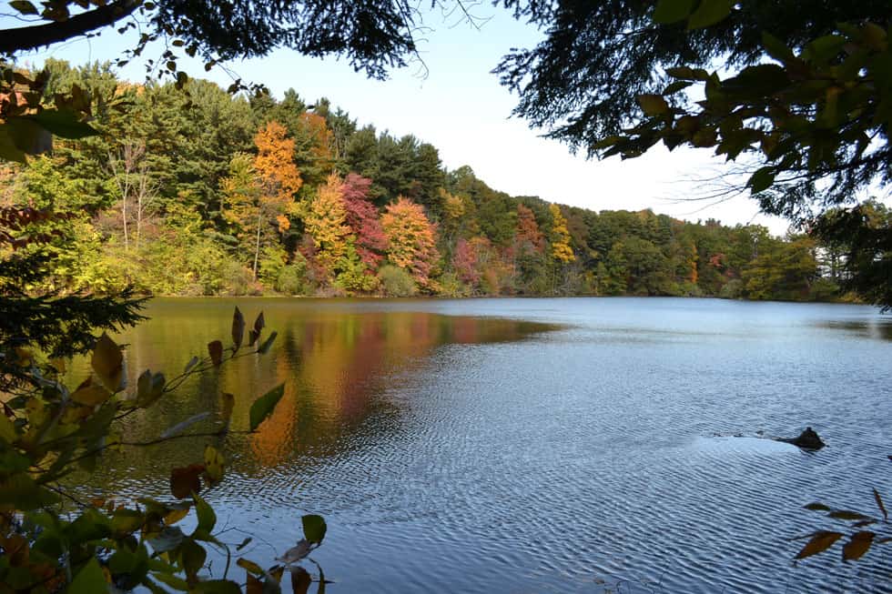 Engaging in Outdoor Activities in Rochester